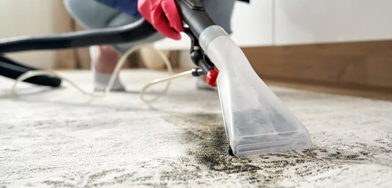 Why Lancaster Home Owners Choose Us for Expert Rug Cleaning Services