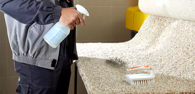 Why Lancaster Home Owners Choose Us for Expert Stain Removal Services